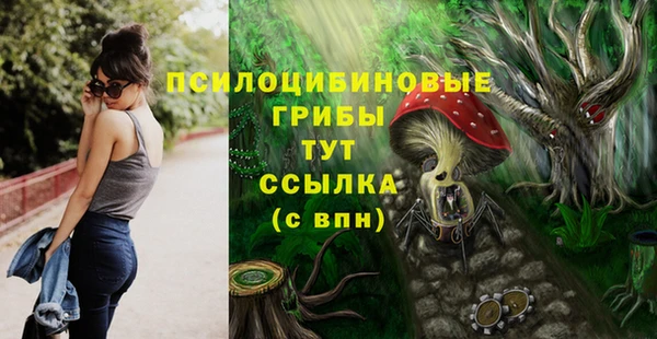 винт Зеленокумск
