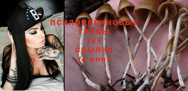 таблы Зеленодольск