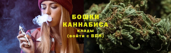 дживик Зерноград